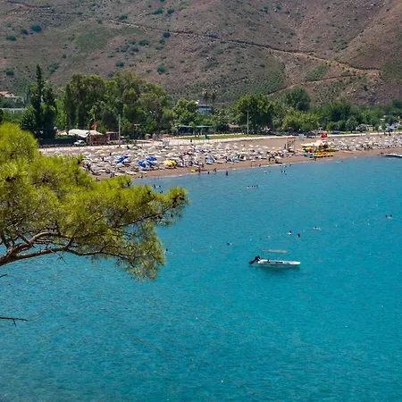 Akya